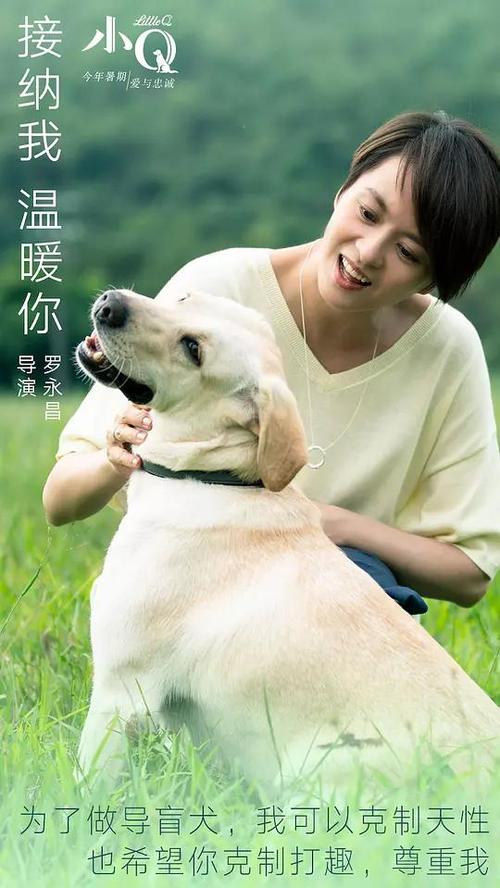 哪里可以制作圣保罗学院文凭毕业证